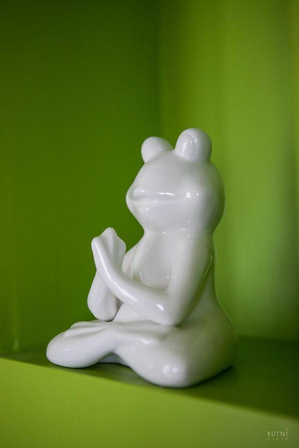 Frog Apartment Rijeka Exterior photo